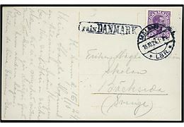 15 øre Chr. X på brevkort fra København annulleret med svensk stempel i Malmö d. 16.10.1924 og sidestemplet Från Danmark til Sverige.