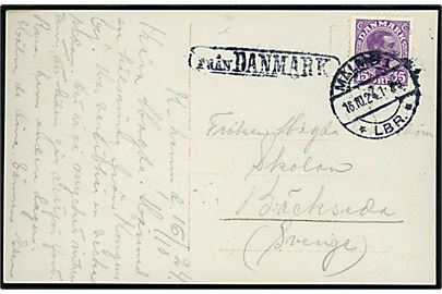 15 øre Chr. X på brevkort fra København annulleret med svensk stempel i Malmö d. 16.10.1924 og sidestemplet Från Danmark til Sverige.