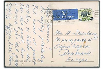 65 c. Næsehorn single på luftpost brevkort fra Nairobi d. 8.1.1969 til København, Danmark.