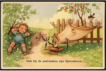 Hollandsk spejder høster æbler. Coloprint no. 53679/11