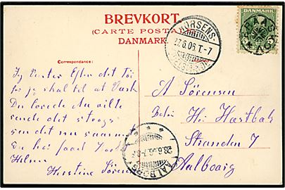 5 øre Chr. IX på brevkort annulleret med stjernestempel BRAASKOV og sidestemplet bureau Horsens - Juelsminde T.7 d. 27.6.1906 til Aalborg.