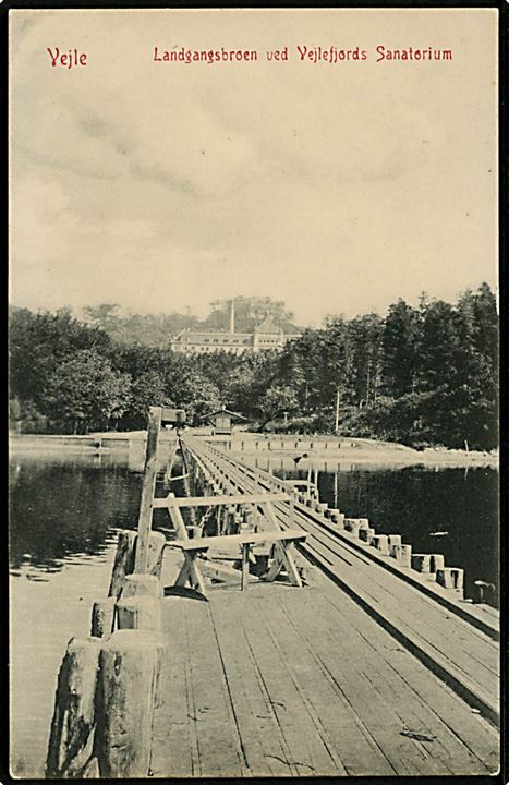 Vejle, Landgangsbroen ved Vejlefjords Sanatorium. Warburg no. 4244. 