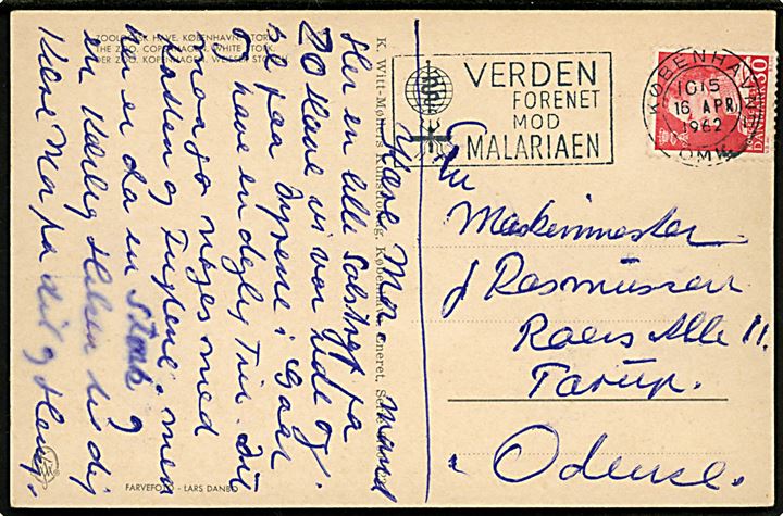30 øre Fr. IX på brevkort annulleret med TMS Verden forenet mod malariaen / København OMK.17 d. 16.4.1962 til Odense.