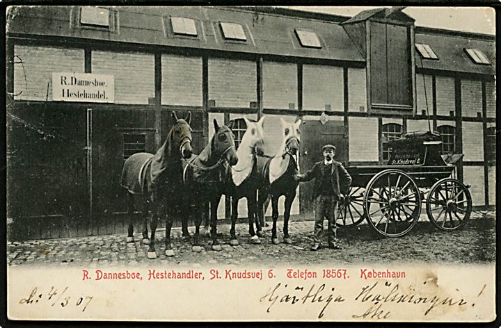Købh., St. Knudsvej 6 med R. Danneboe's Hestehandel. U/no.