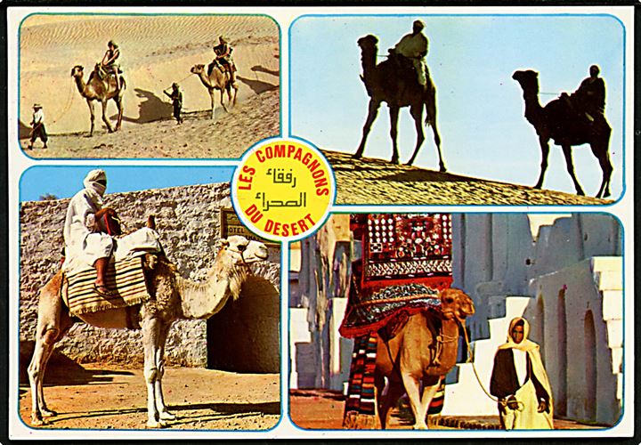 Tunesien 350 Sommerfugl og DANSK julemærke 1995 på brevkort fra Tunesien d. 11.12.1995 til Slagelse, Danmark.