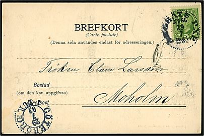 5 öre Oscar II på brevkort (Venersborg) annulleret med dampskibsstempel Ångbåts PXP No. 66 d. 29.7.1903 via Göteborg til Moholm. Stempel benyttet ombord på dampskibet Tjörn på ruten Göteborg-Marstrand. 