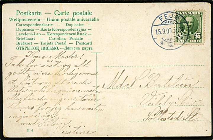 5 øre Fr. VIII på brevkort annulleret brotype Ia Fejø d. 15.9.1909 til Søllested.