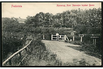 Fredericia, Hannerup, hvor skovvejen krydser jernbanen. Warburgs Kunstforlag no. 4133.