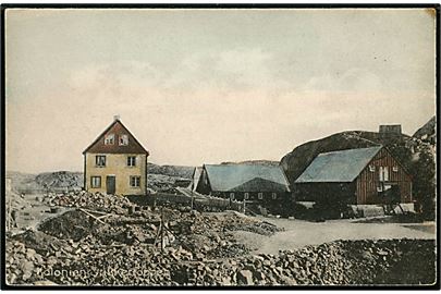 Grønland, Kolonien Sukkertoppen. Stenders no. 9013.