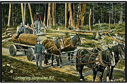 Canada, Vancouver B.C. Træfældning. Tømmeret køres væk med hestevogn. 