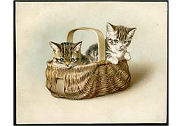 2 kattekillinger i kurv. Dateret 1892. 