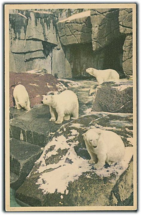 Den nye isbjørnegrotte i Zoologiske have, København. K. Witt-Møllers Kunstforlag, serie no. 6700-52. 