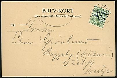 5 øre Våben på brevkort (Kristiansborg Slot) annulleret med svensk sejlende bureaustempel Malmö - Köpenh. d. 23.3.1902 til Tierp, Sverige.
