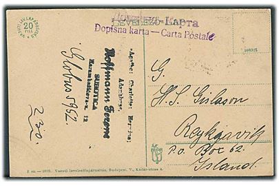 5 pa. og 60 pa. Alexander på billedside af brevkort fra Subotica 1921 til Reykjavik, Island. Interessant destination.