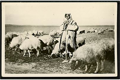 Jordan, beduin hyrde med fåreflok. 