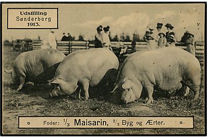 Sønderborg Udstilling 1913 med store grise. Reklamekort for Maisarin. Brugt 1922.