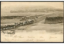 Cape Province, Talana Hill med militærtransport. frankeret ½d i parstykke stemplet Alexandria d. 7.10.1903 til Scotland.