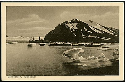 Svalbard/Spitsbergen. Brækalver med turistdamper. P. E. Ritter no. 486.