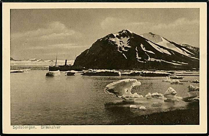 Svalbard/Spitsbergen. Brækalver med turistdamper. P. E. Ritter no. 486.