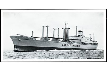 Cecilie Mærsk, M/S, Rederiet A. P. Møller. Fotografi 10½x21 cm.