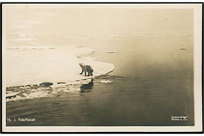 Svalbard/Spitsbergen. Polhavet med isbjørn på isflage. Mittet & Co. no. 25. Sendt fra Narvik 1915.