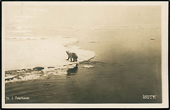 Svalbard/Spitsbergen. Polhavet med isbjørn på isflage. Mittet & Co. no. 25. Sendt fra Narvik 1915.