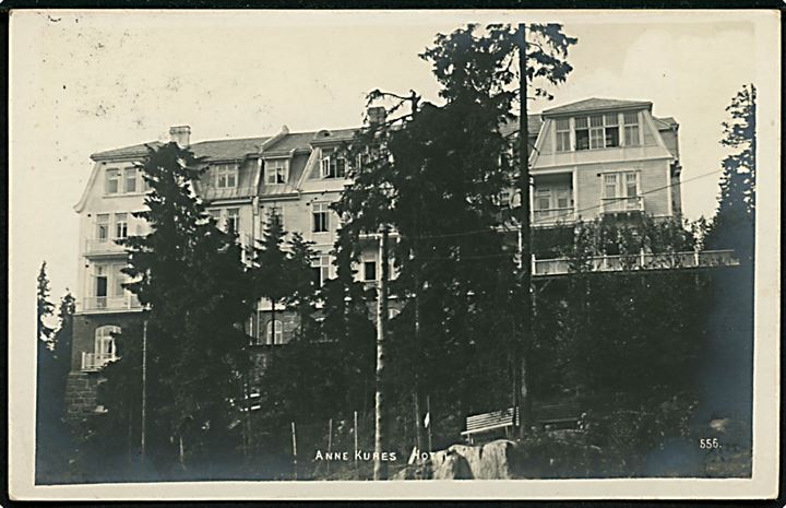 Lillehammer, Anne Kures Hotel. Abel No. 556