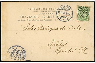 5 øre Våben på brevkort (Hilsen fra Haarby med skole og kirke) annulleret med stjernestempel HAARBY og sidestemplet Assens d. 18.11.1904 til Pjedsted.