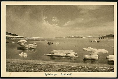 Svalbard/Spitsbergen. Brækalver med isbjerge og dampskib i baggrunden. E. Ritter no. 483.