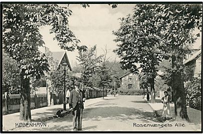Købh., Rosenvængets Allé. Stenders no. 6109.