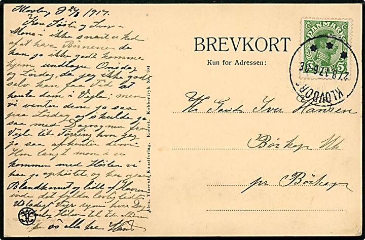 5 øre Chr. X på brevkort annulleret med brotype IIIb Klovborg d. 27.8.1917 til Børkop.