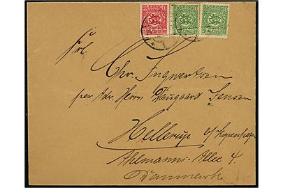 5 pfg. (2) og 10 pfg. Fælles udg. på brev fra Flensburg d. 25.2.1920 til Hellerup, Danmark.