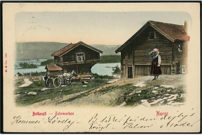 Norge, Bolkesjö i Telemarken. M. & Co. no. 114.
