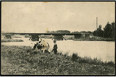 Skjern, parti ved åen med bro, dreng og ko. I. Kristensen no. 4291.