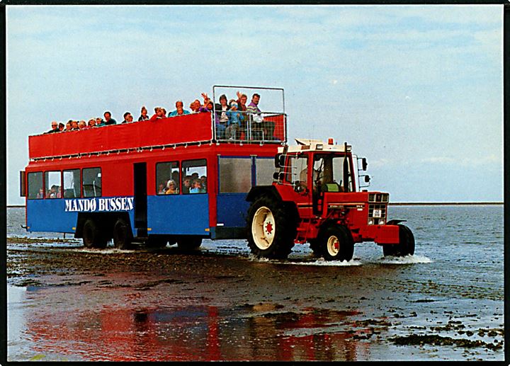 Mandø-Bussen på ebbevejen. A. Niemann no. 74524738.