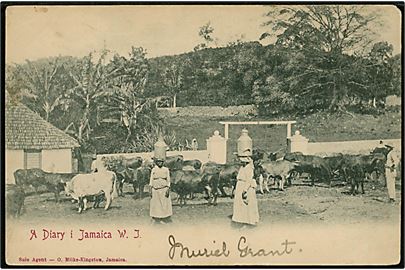 Jamaica, a Diary. O. Milke-Kingston u/no.