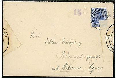 20 øre Germania på brev med fuldt indhold annulleret Branderup d. 31.8.1917 til Odense, Danmark. Åbnet af tysk censur i Flensburg med censor-nr. 15.