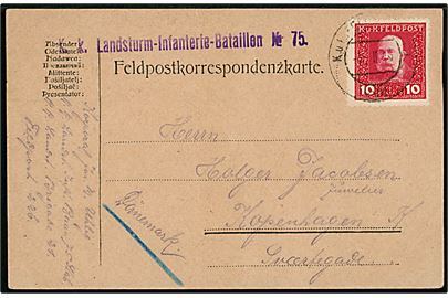 Østrigsk 10 h. K.u.K. Feldpost udg. på feltpostkort stemplet K.u.K. Feldpostamt 226 d. 8.2.1915 til København, Danmark. Sendt fra soldat ved K.k. Landsturm-Infanterie-Bataillon No. 75.