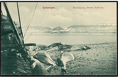 Svalbard/Spitzbergen. Green Harbour hvalstation med døde hvaler. Nordisk Kortforlag no. 11.
