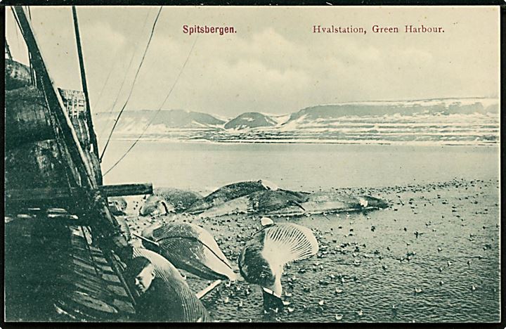 Svalbard/Spitzbergen. Green Harbour hvalstation med døde hvaler. Nordisk Kortforlag no. 11.