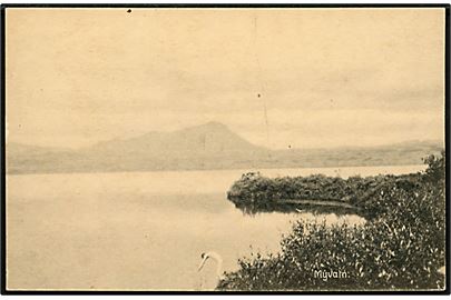 Island, Myvatn. T. Arnason / Stenders no. 49829.