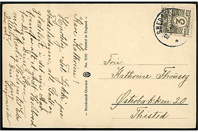 3 øre Bølgelinie på lokalt brevkort annulleret brotype IIIb Snedsted d. 18.12.1918 til Thisted.