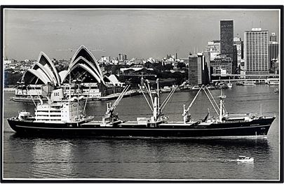 Atrevida, M/S, Østasiatisk Kompagni i Sydney, Australien. Fotografi 18½x30 cm.