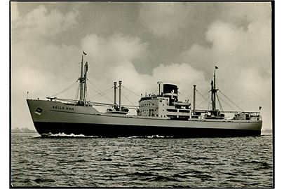 Bella Dan, M/S, rederiet J. Lauritzen. Reklamefoto af nybygget skib fra Aalborg Værft dateret Oktober 1950. Ca. 15x20 cm.