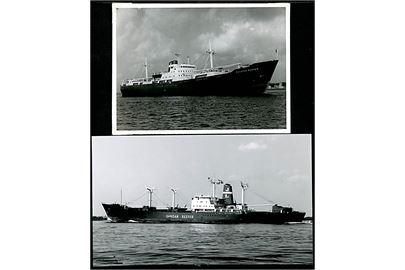 Rederiet J. Lauritzen. Nella Dan, Belgian Reefer og Samoan Reefer. 3 fotografier i omtrent postkort-størrelse - uden adresselinier. 