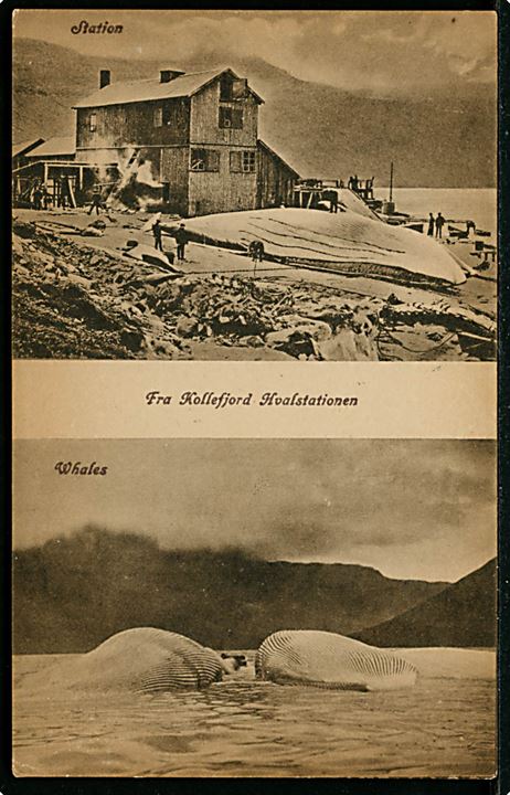 Færøerne, Kollefjord Hvalstation og hvaler. A. Brend no. 304319.