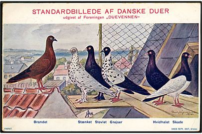 Poul Jørgensen: Standardbillede af Danske Duer. Dansk Rep. Anst. no. 271511
