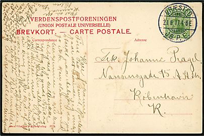 5 øre Chr. X på brevkort (Gilleleje, Aaen) annulleret brotype Ia Græsted JB.P.E. d. 21.6.1917 til København.