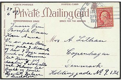 Amerikansk 2 cents på brevkort dateret Guam og stemplet USS Buffalo d. 28.6.1909 til København. Fra dansk-amerikaner ombord på flåde transportskib i Stillehavet. Tekst skrevet på dansk.