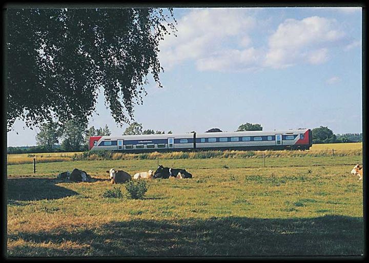 Lollandsbanens IC2 tog MF 1001 / FS 1101 i landlige omgivelser mellem Maribo og Sakskøbing den 14 Juni 2000. Holsund no. 37.
